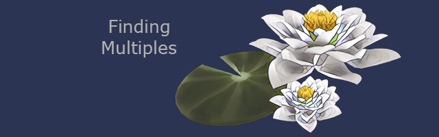 Finding Multiples Banner, Water Lily
